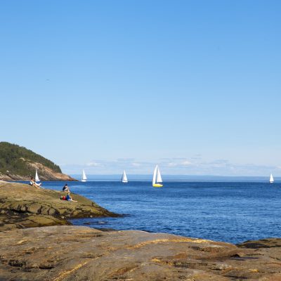 Données globales des intentions de visite estivales des Québécois(es) en 2024