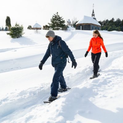 Données globales des intentions de visite hivernales des Québécois(es) en 2025