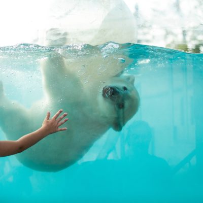 Étude sur la tarification des attractions touristiques